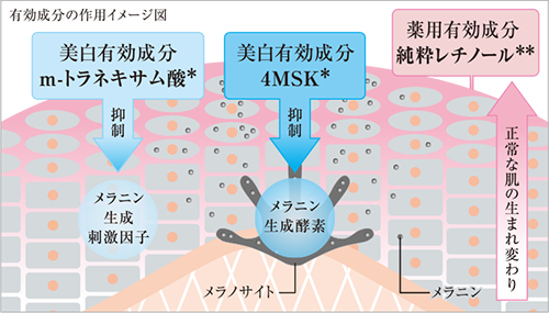 微信图片_20210621112731.png